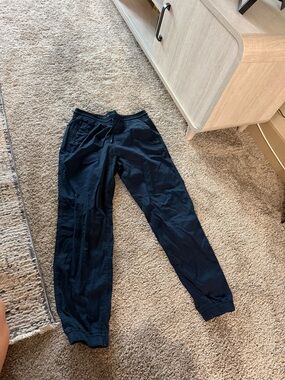 Abercrombie & Fitch Navy Blue Jogger Pants